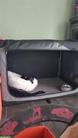 Hundebox XL Stoffbox, faltbar zu verkaufen