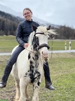 Reitbeteiligung / Pflegepferd für Tinker Mix Stute, Münstertal GR