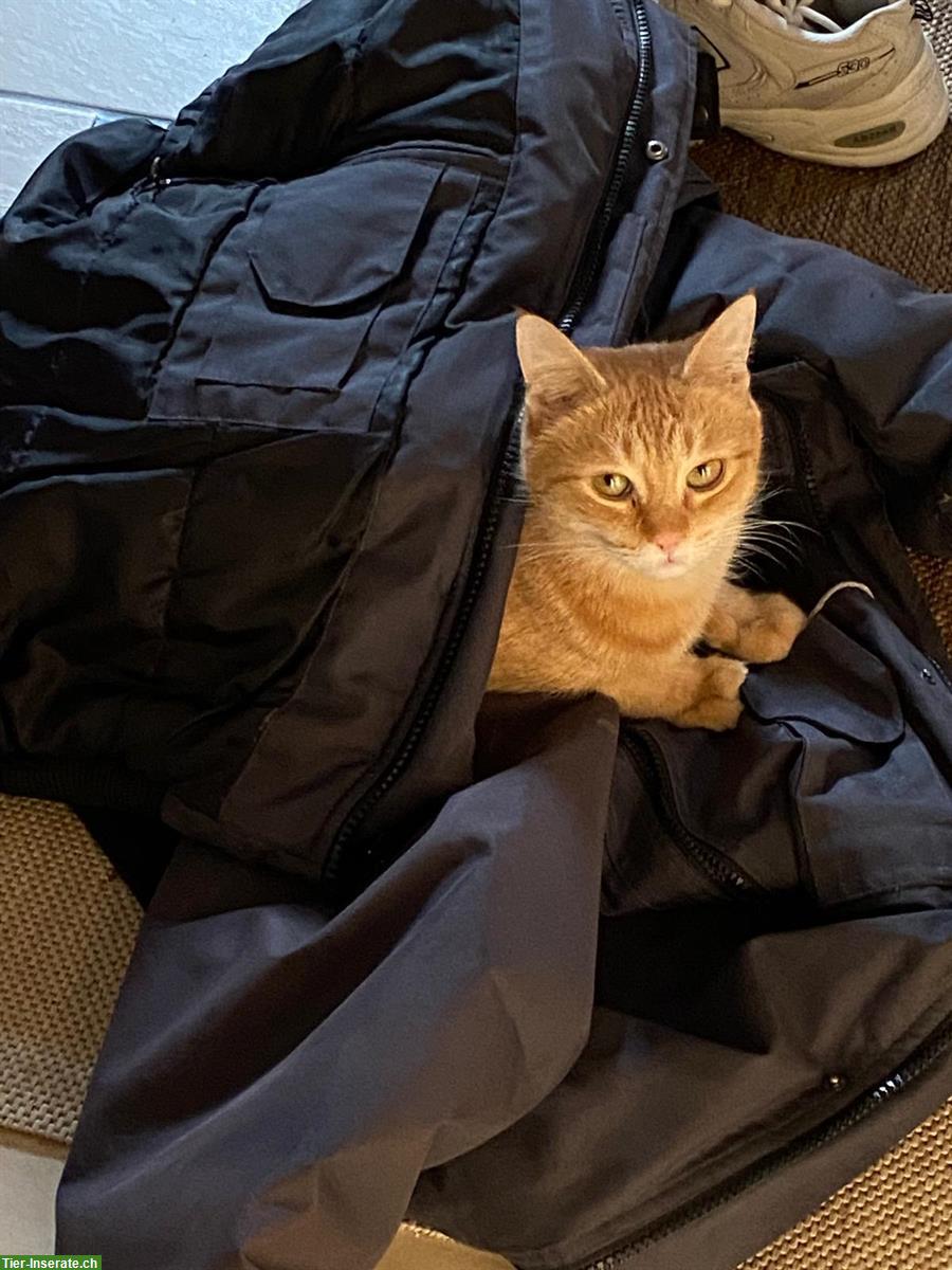 Bild 2: Schuka weiblich 2-jährig