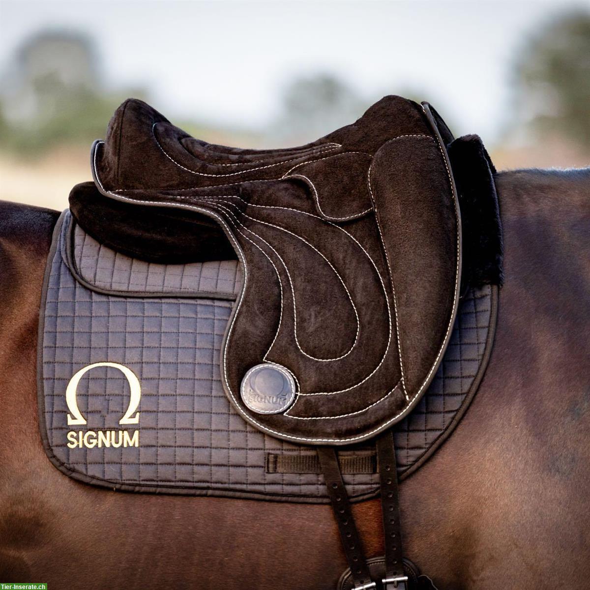 Signum Paddle Grösse L, Schoko und Schwarz, Wildleder