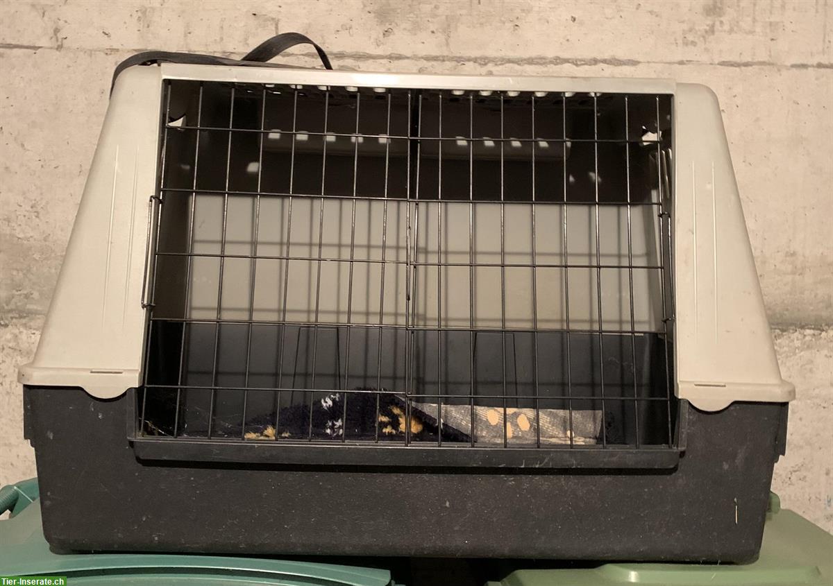 Hundebox aus Kunststoff mit Schiebetüren