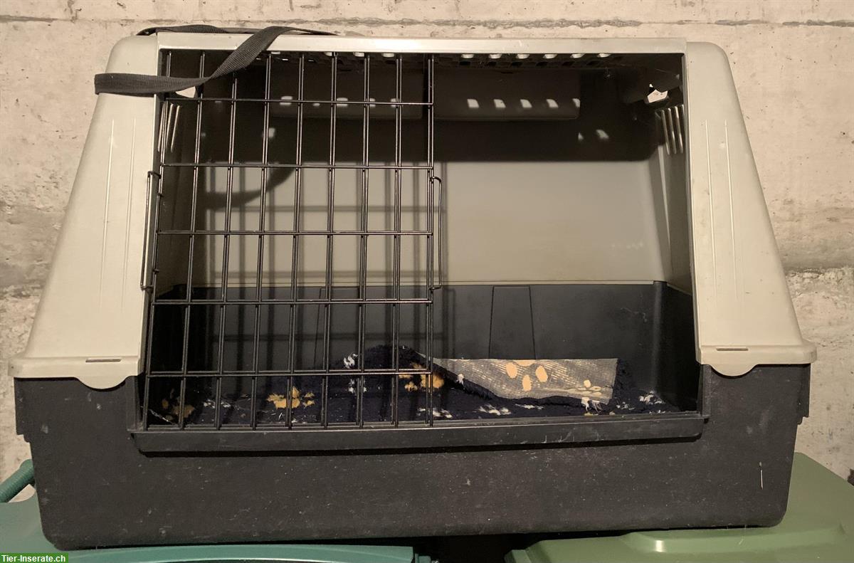 Bild 2: Hundebox aus Kunststoff mit Schiebetüren