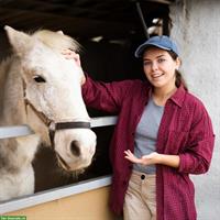 Gesucht Pferdemensch mit 2 bis 3 Pferden