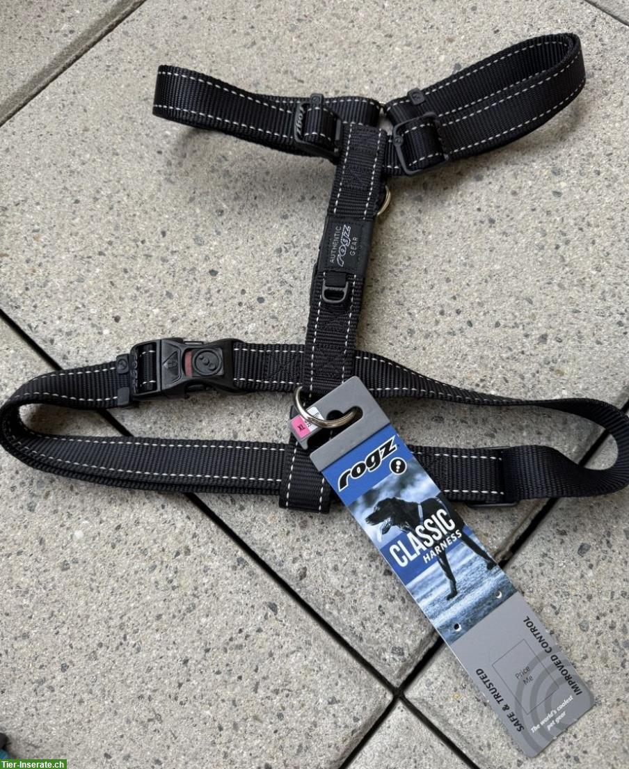 NEU: Günstige Geschirre und Halsband für Hunde