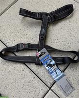 NEU: Günstige Geschirre und Halsband für Hunde