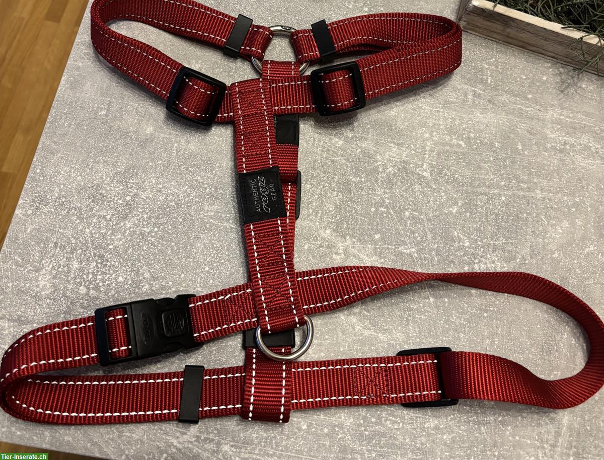 Bild 3: NEU: Günstige Geschirre und Halsband für Hunde