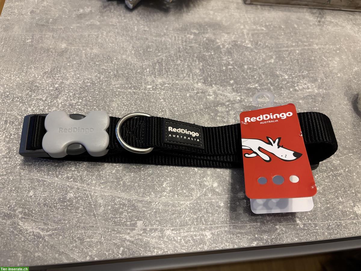 Bild 4: NEU: Günstige Geschirre und Halsband für Hunde