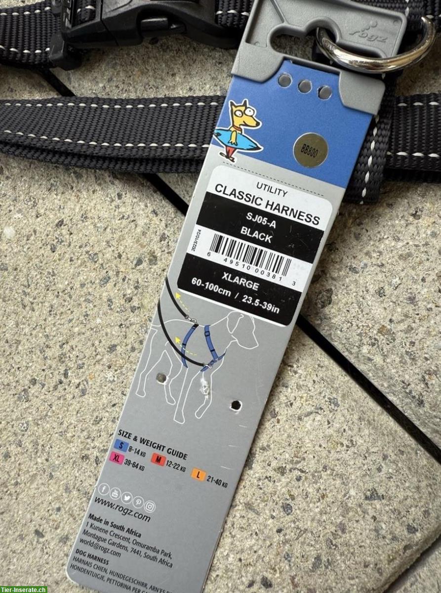 Bild 7: NEU: Günstige Geschirre und Halsband für Hunde