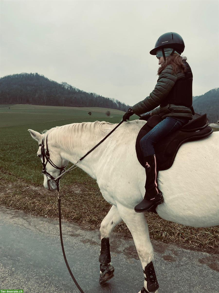 Reit- und/oder Spazierbeteiligung in Effingen AG