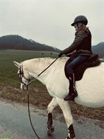 Reit- und/oder Spazierbeteiligung in Effingen AG