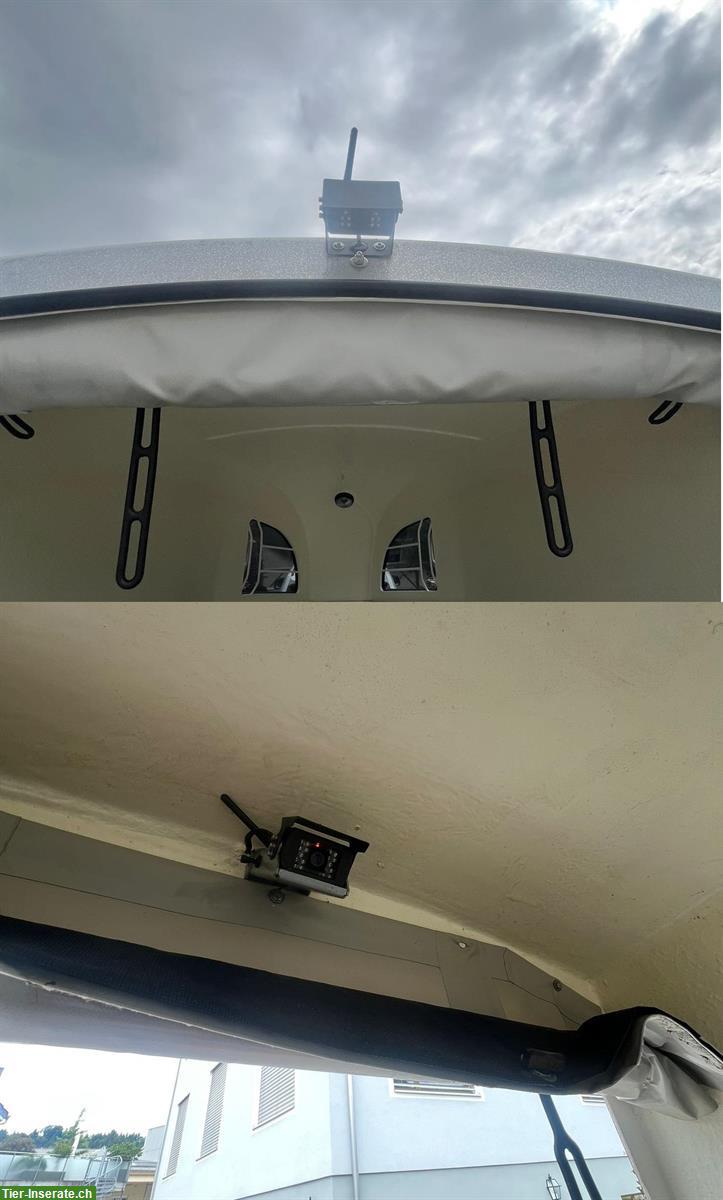 Bild 5: 1½ Böckmann Pferdeanhänger Champion Uno C, frisch ab MFK