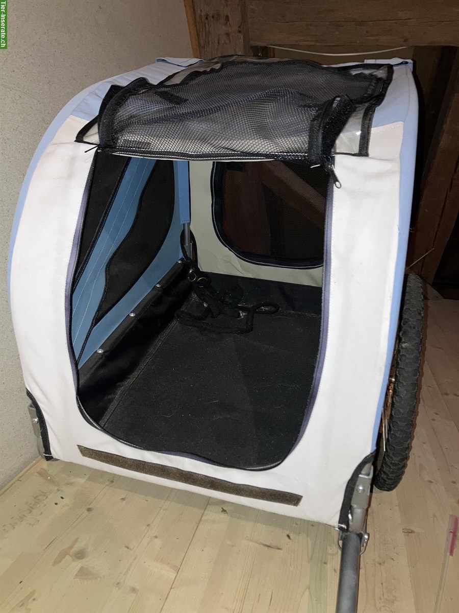 Bild 2: Hundeveloanhänger gratis abzugeben