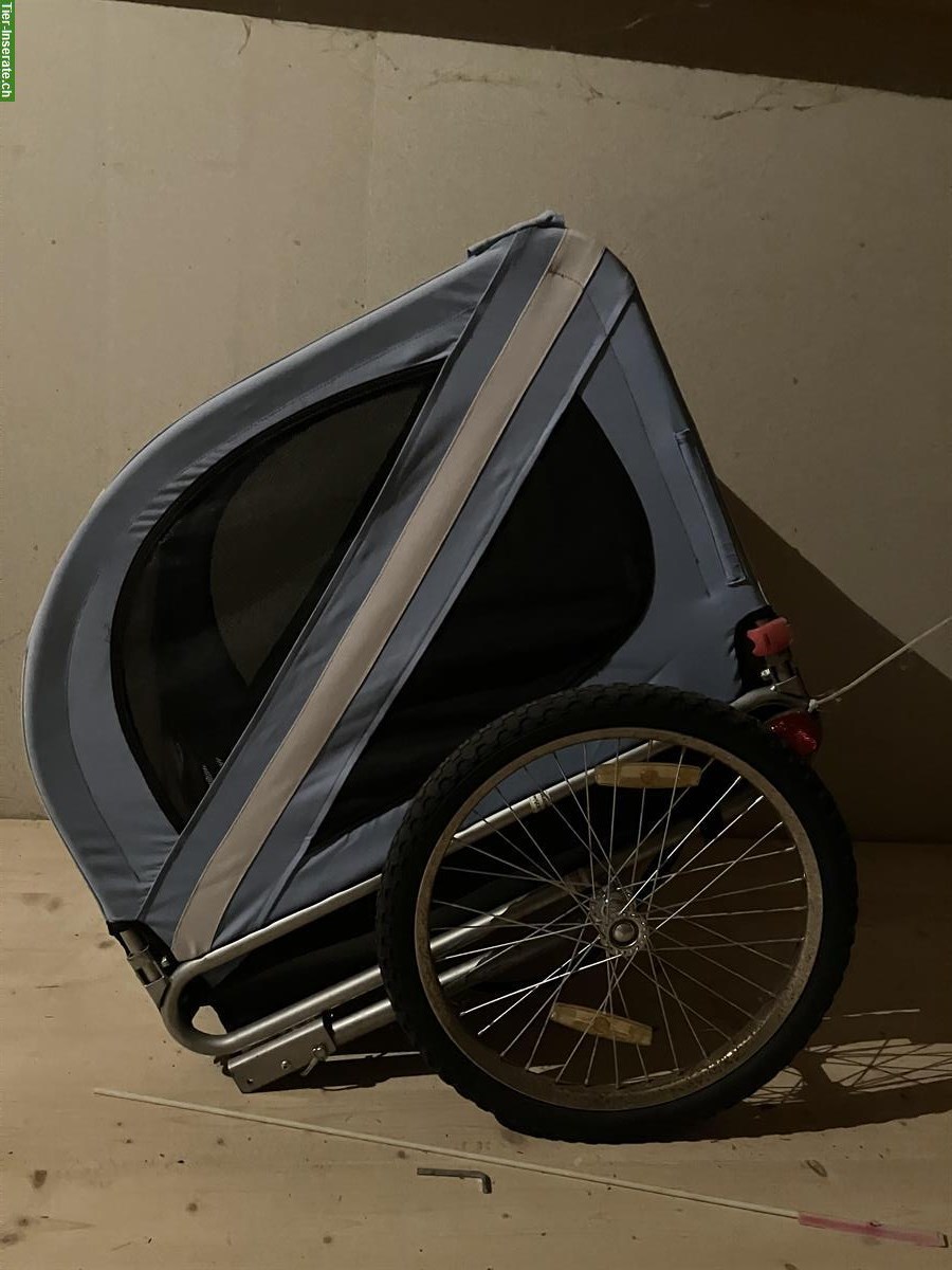 Bild 3: Hundeveloanhänger gratis abzugeben