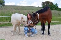 Reitlehrerin sucht Job im Kanton Zürich