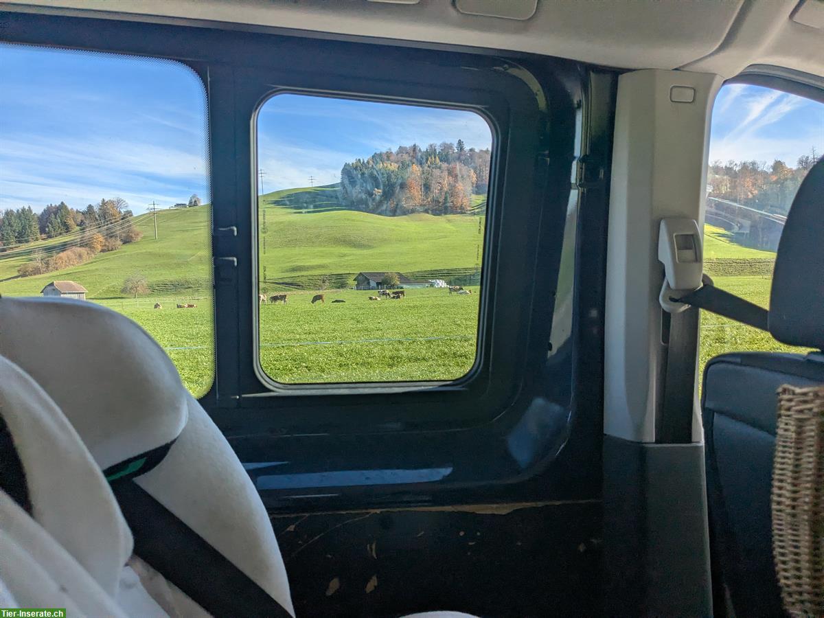 Familie mit Kindern & Tieren sucht nach einem Zuhause