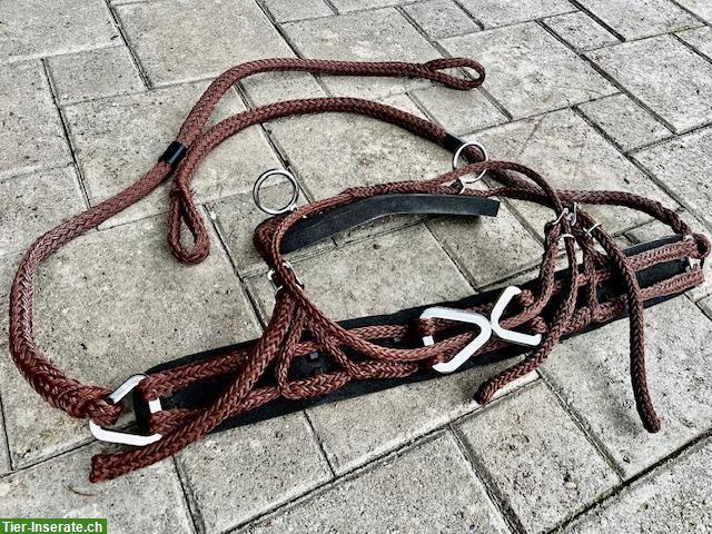 Sieltec Brustblatt PLUS, Gr. 1 Minishetty