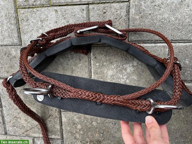 Bild 2: Sieltec Brustblatt PLUS, Gr. 1 Minishetty