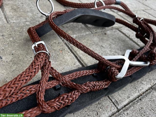 Bild 3: Sieltec Brustblatt PLUS, Gr. 1 Minishetty