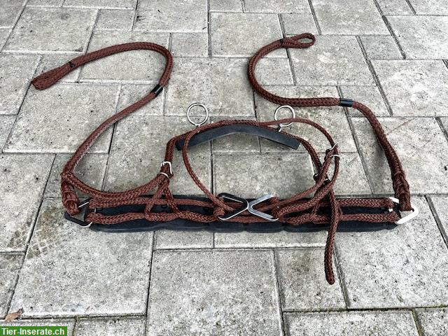 Bild 4: Sieltec Brustblatt PLUS, Gr. 1 Minishetty