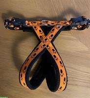 Hundegeschirr Grösse XXS, ungebraucht zu verkaufen
