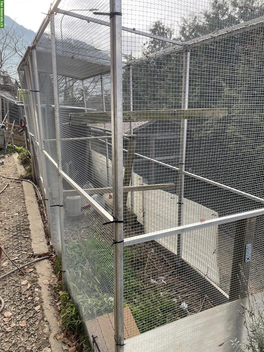 Alu-Voliere Elemente, optional mit Hühnerhaus