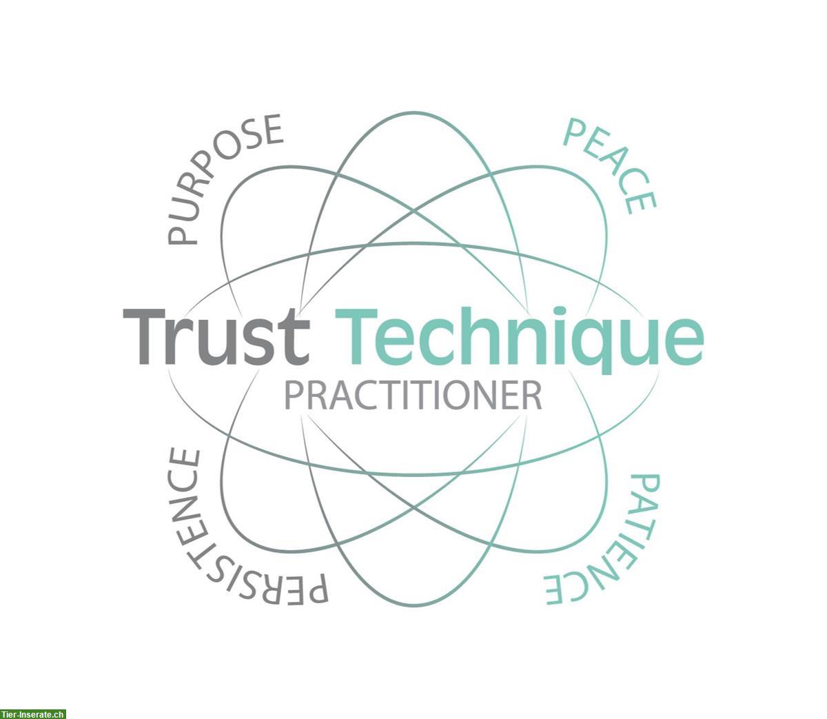 Kostenlose Trust Technique Lektion für Hunde im Raum Zürich