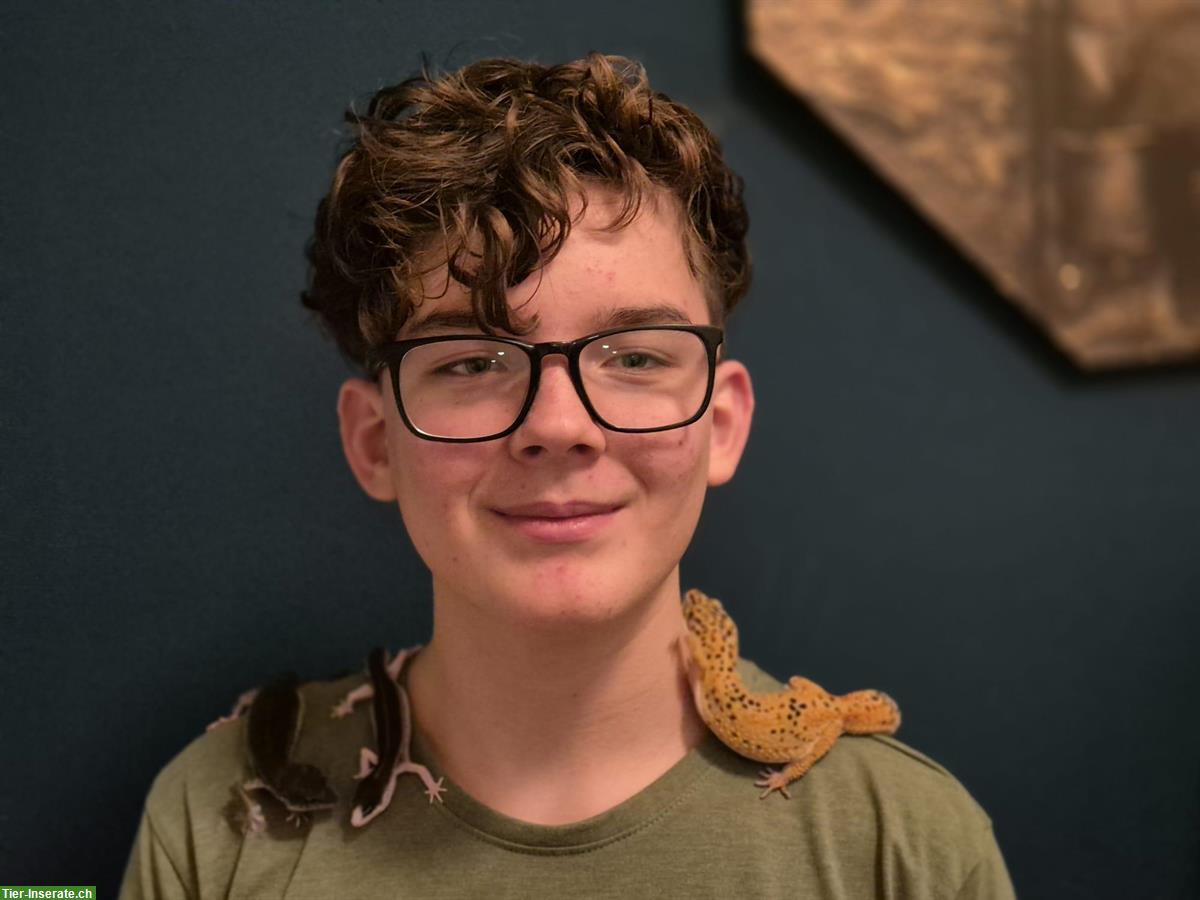 Reptiliensitter kümmert sich um Ihre Terrarientiere