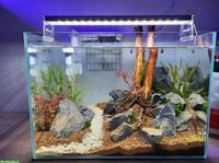 Nano Aquarium Superfish Scaper Tank 45L