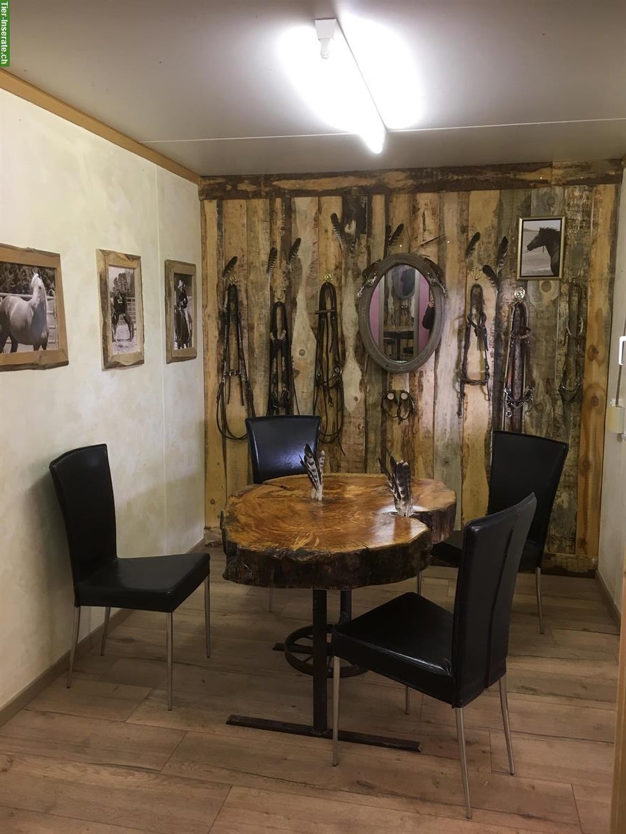 Bild 9: Offenstallplätze frei auf Bio-Bauernhof in Wald ZH
