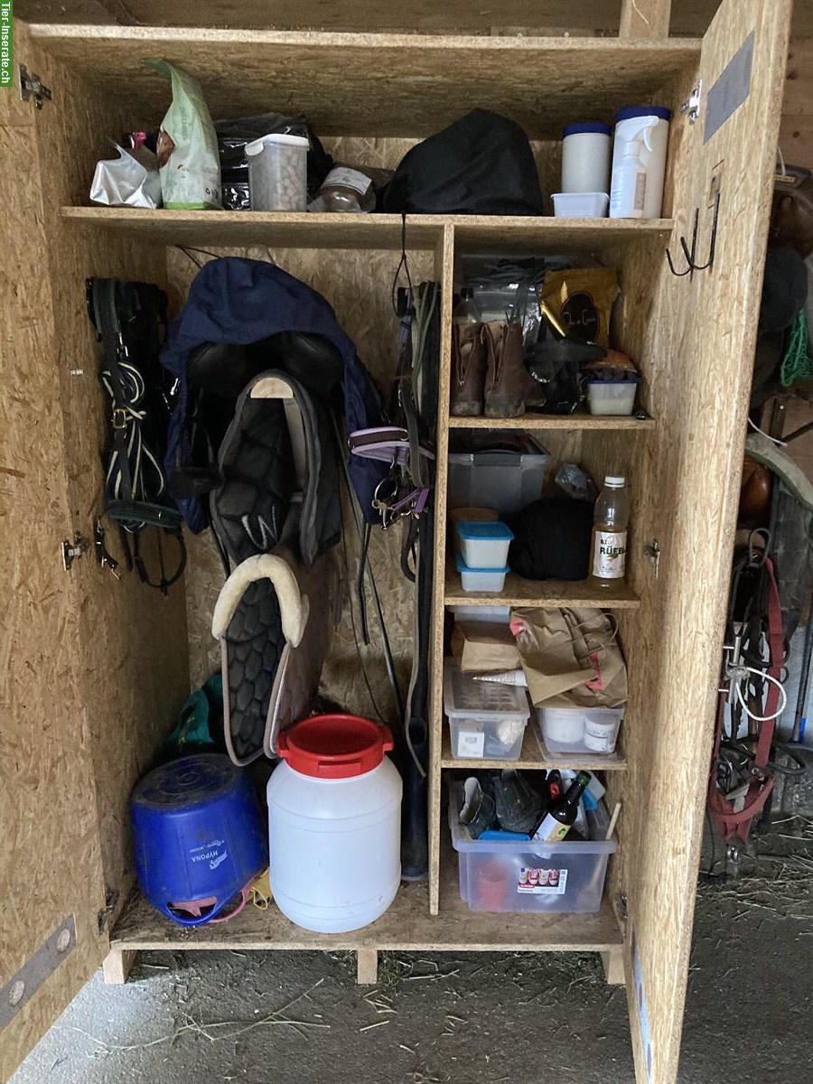 Bild 2: Grosser MV Sattelschrank aus Holz