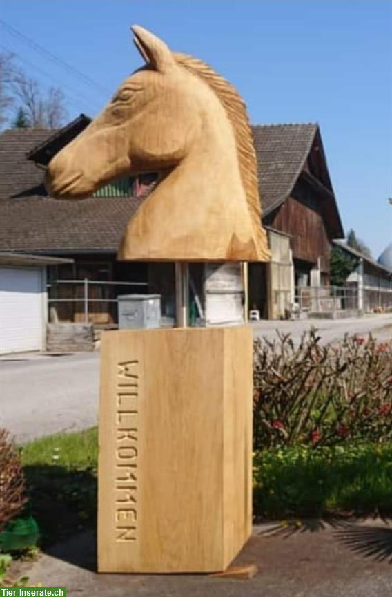 Gosse Auslaufboxe in Luzern/Littau zu vermieten