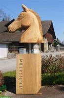 Gosse Auslaufboxe in Luzern/Littau zu vermieten