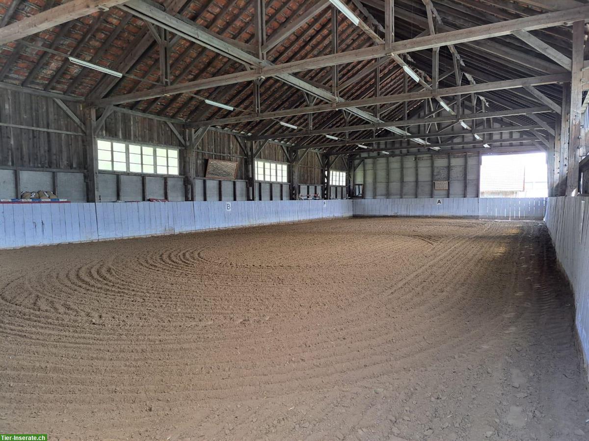 Bild 10: Gosse Auslaufboxe in Luzern/Littau zu vermieten