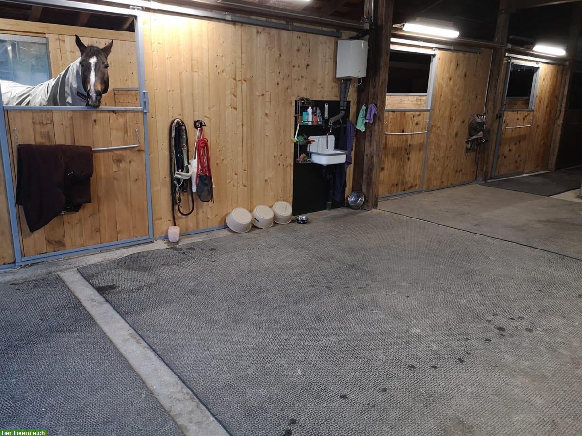 Bild 4: Gosse Auslaufboxe in Luzern/Littau zu vermieten