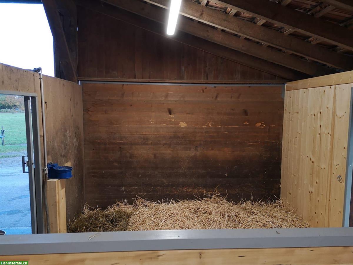 Bild 6: Gosse Auslaufboxe in Luzern/Littau zu vermieten