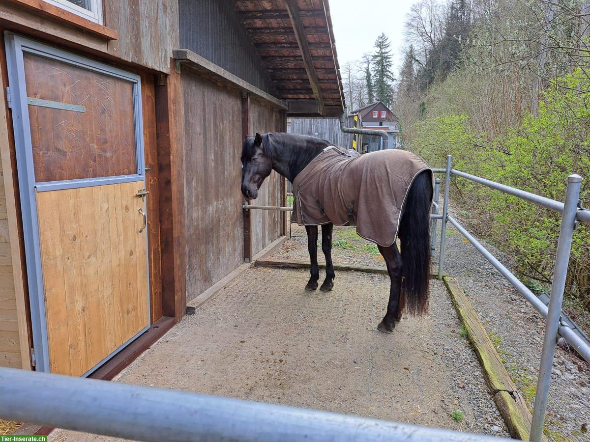 Bild 7: Gosse Auslaufboxe in Luzern/Littau zu vermieten