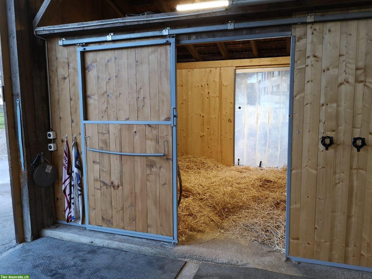 Bild 8: Gosse Auslaufboxe in Luzern/Littau zu vermieten