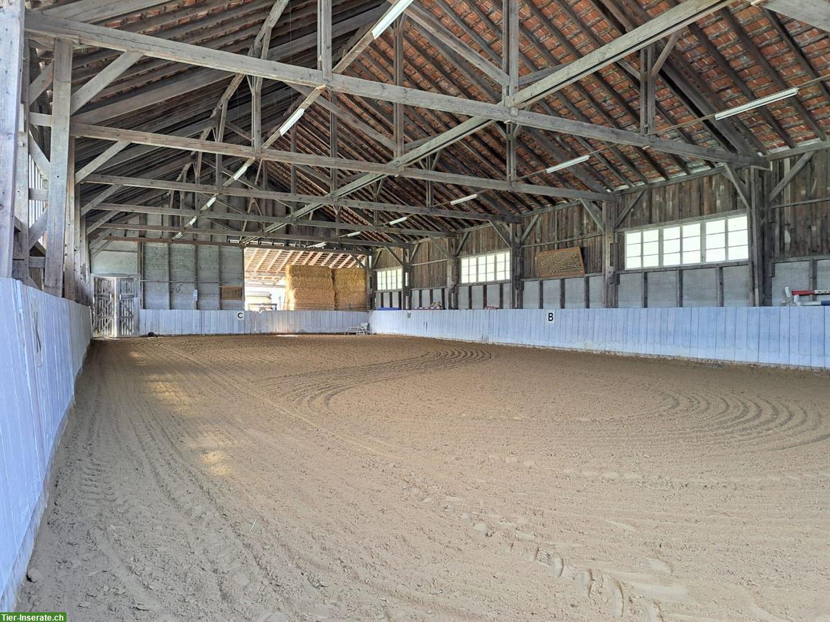 Bild 9: Gosse Auslaufboxe in Luzern/Littau zu vermieten