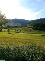 Reitbeteiligung für 3 Pferde im Solothurner Jura