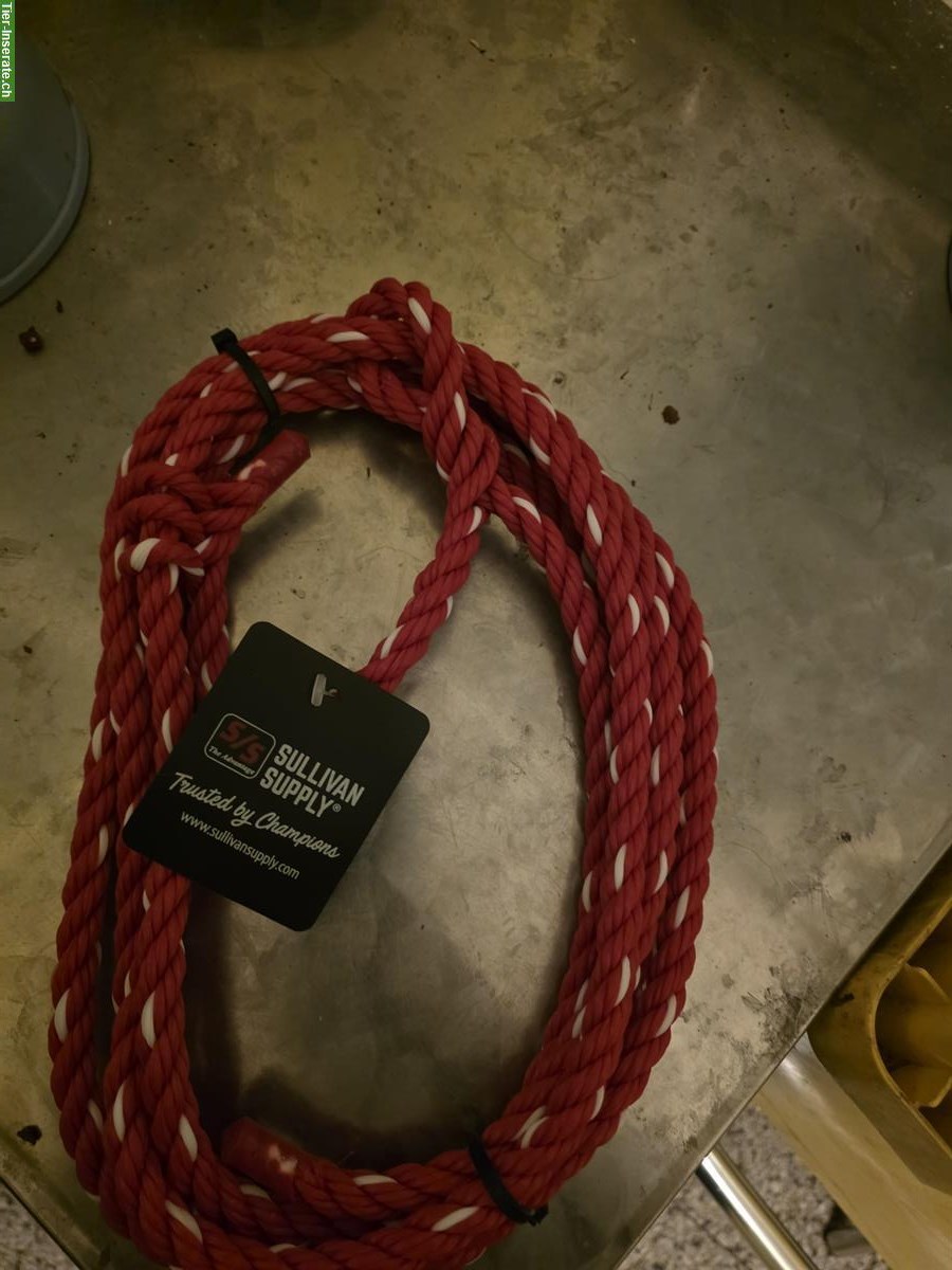 Kuh Halfter (neu) zu verkaufen