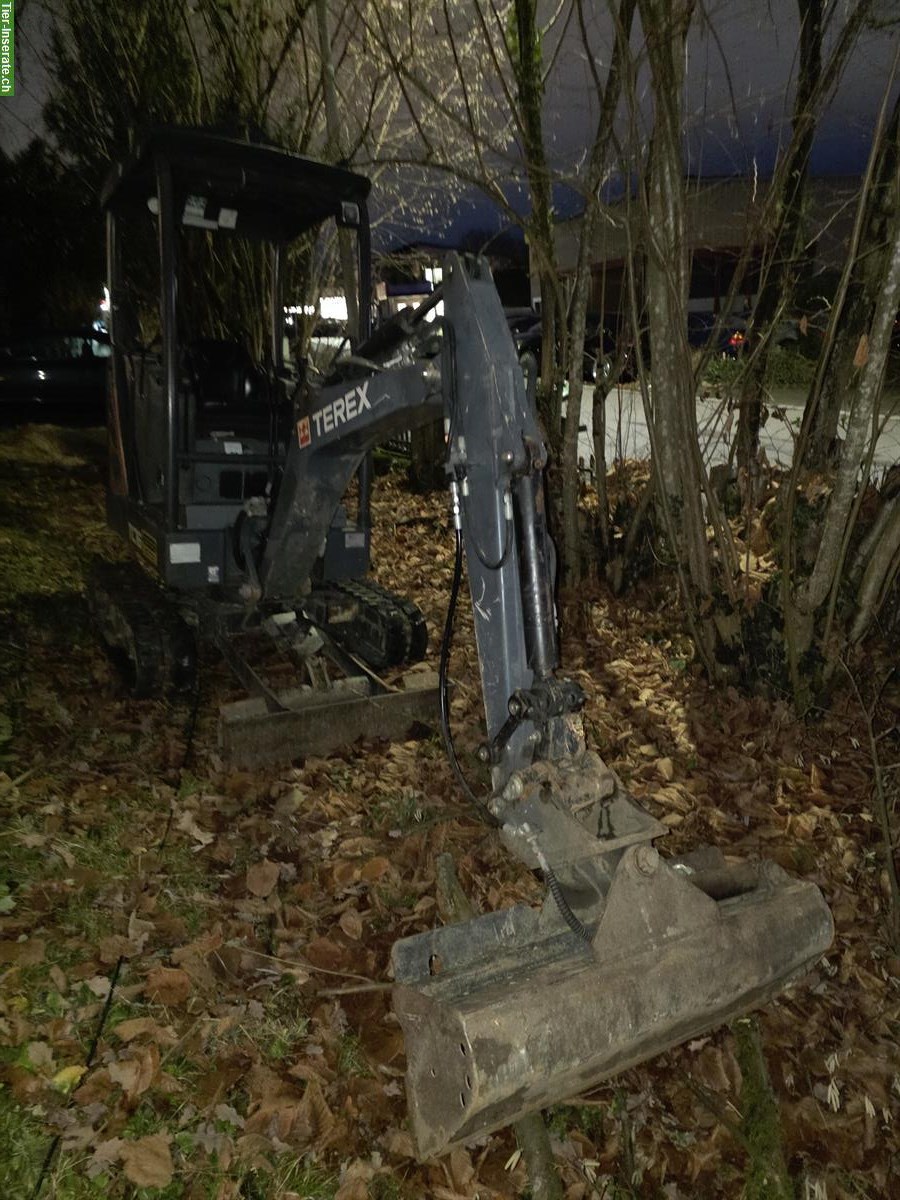 Biete Gartenpflege, Bäume schneiden/fällen, Baggerarbeiten