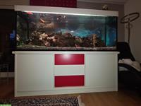 Grosses Aquarium 800 Liter mit Fischen, Komplettset