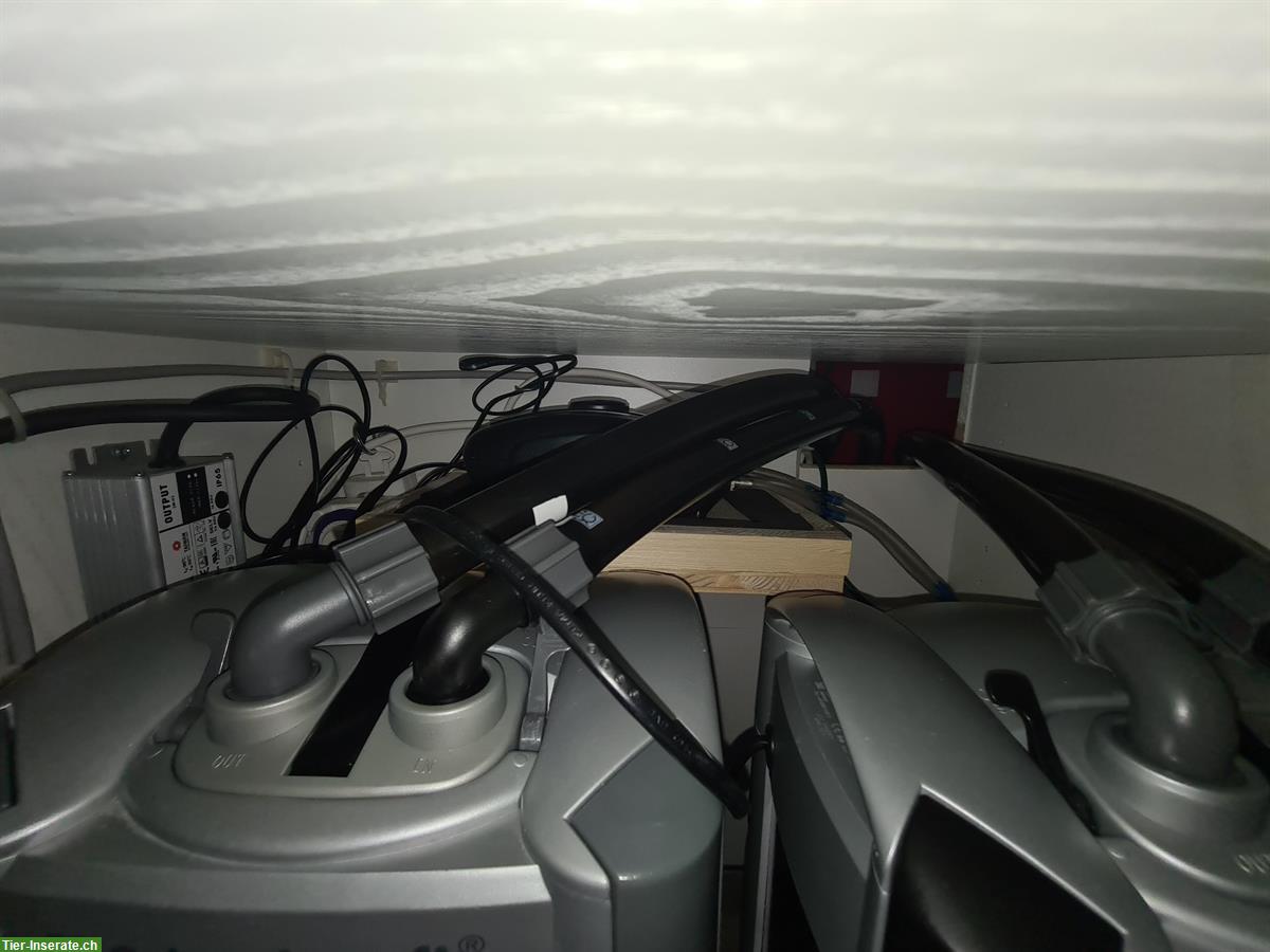 Bild 4: Grosses Aquarium 800 Liter mit Fischen, Komplettset