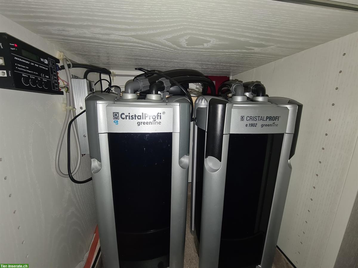 Bild 5: Grosses Aquarium 800 Liter mit Fischen, Komplettset