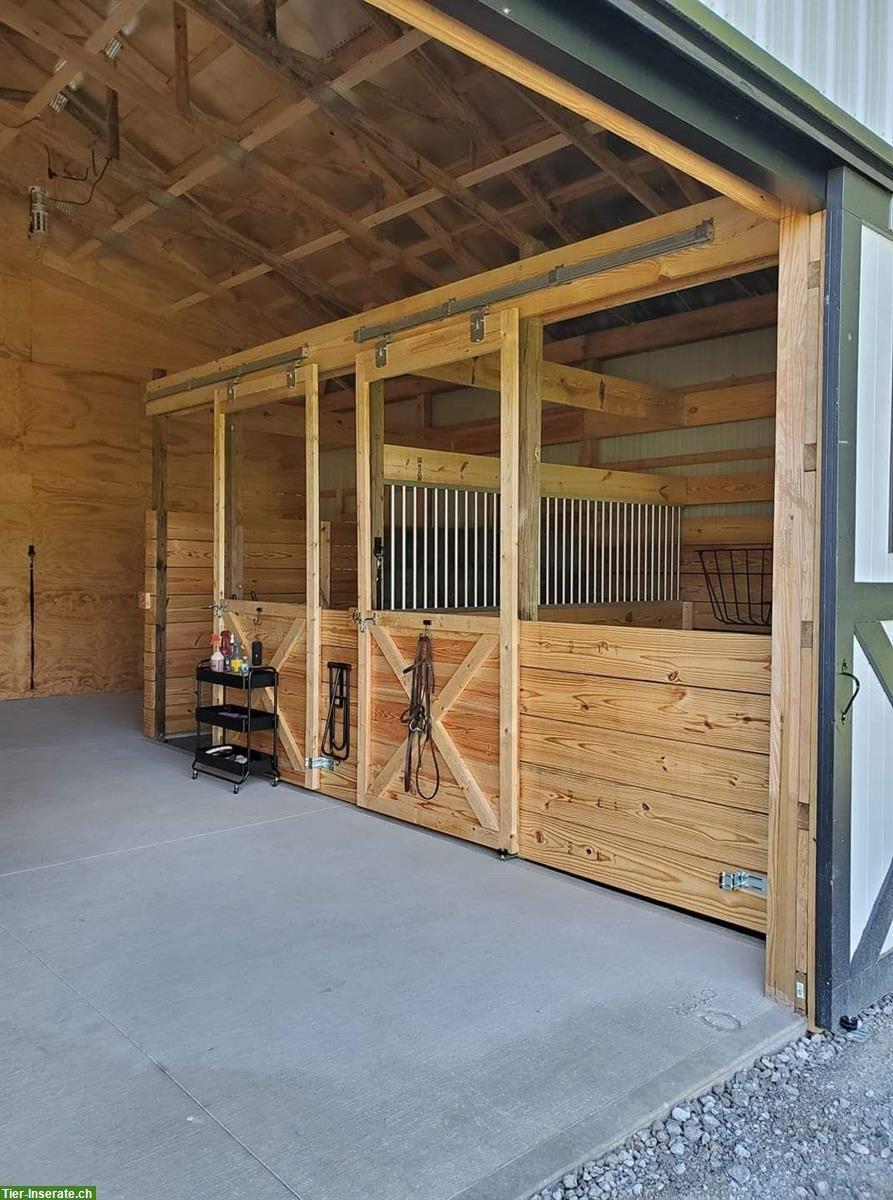 Reitkurse, Reitstunden und Reitbeteiligungen, Kradolf TG