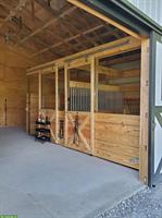 Reitkurse, Reitstunden und Reitbeteiligungen, Kradolf TG