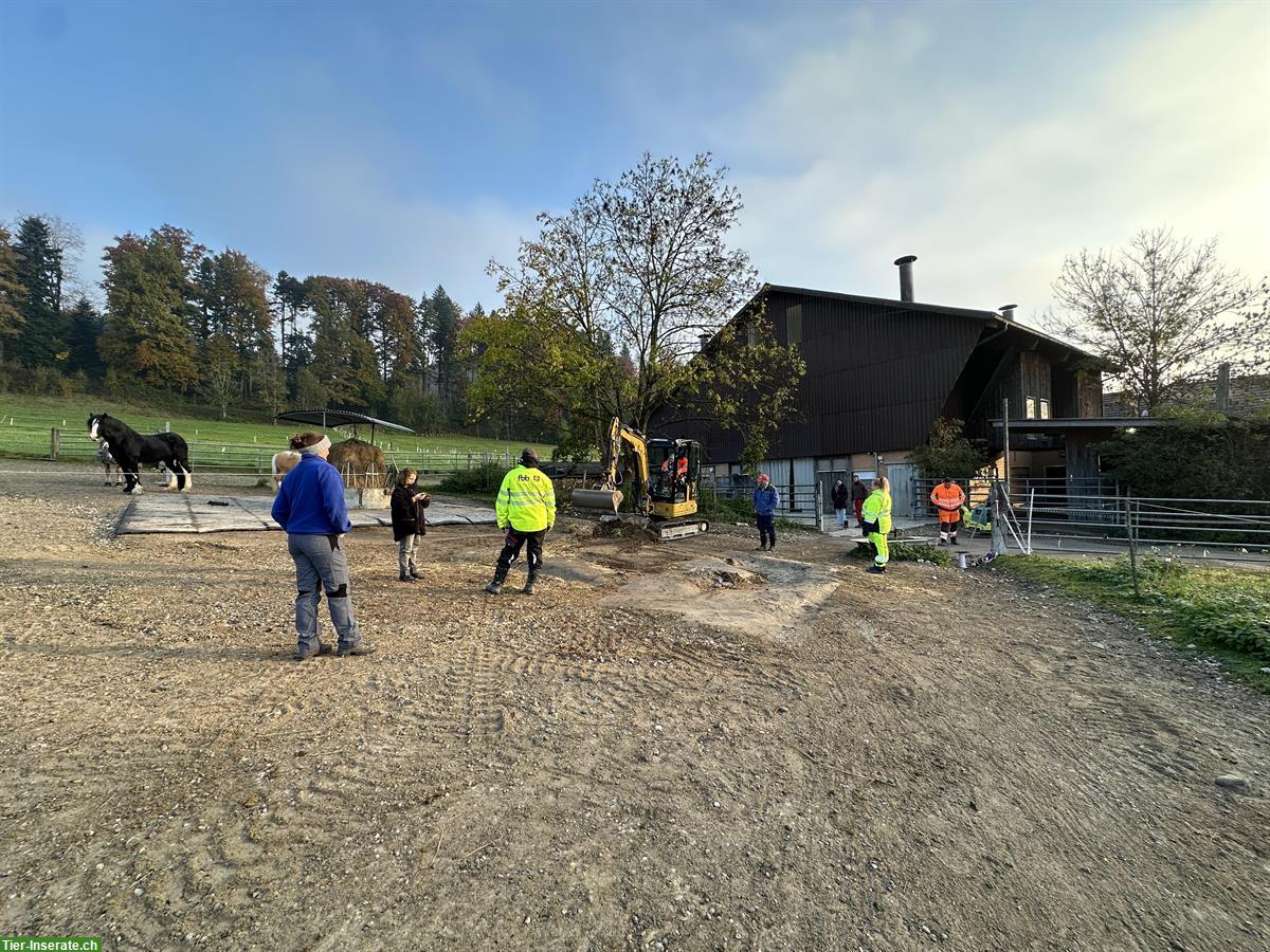 Bild 9: Offenstallplatz frei in Wallach- & Ponygruppe, Hittnau ZH