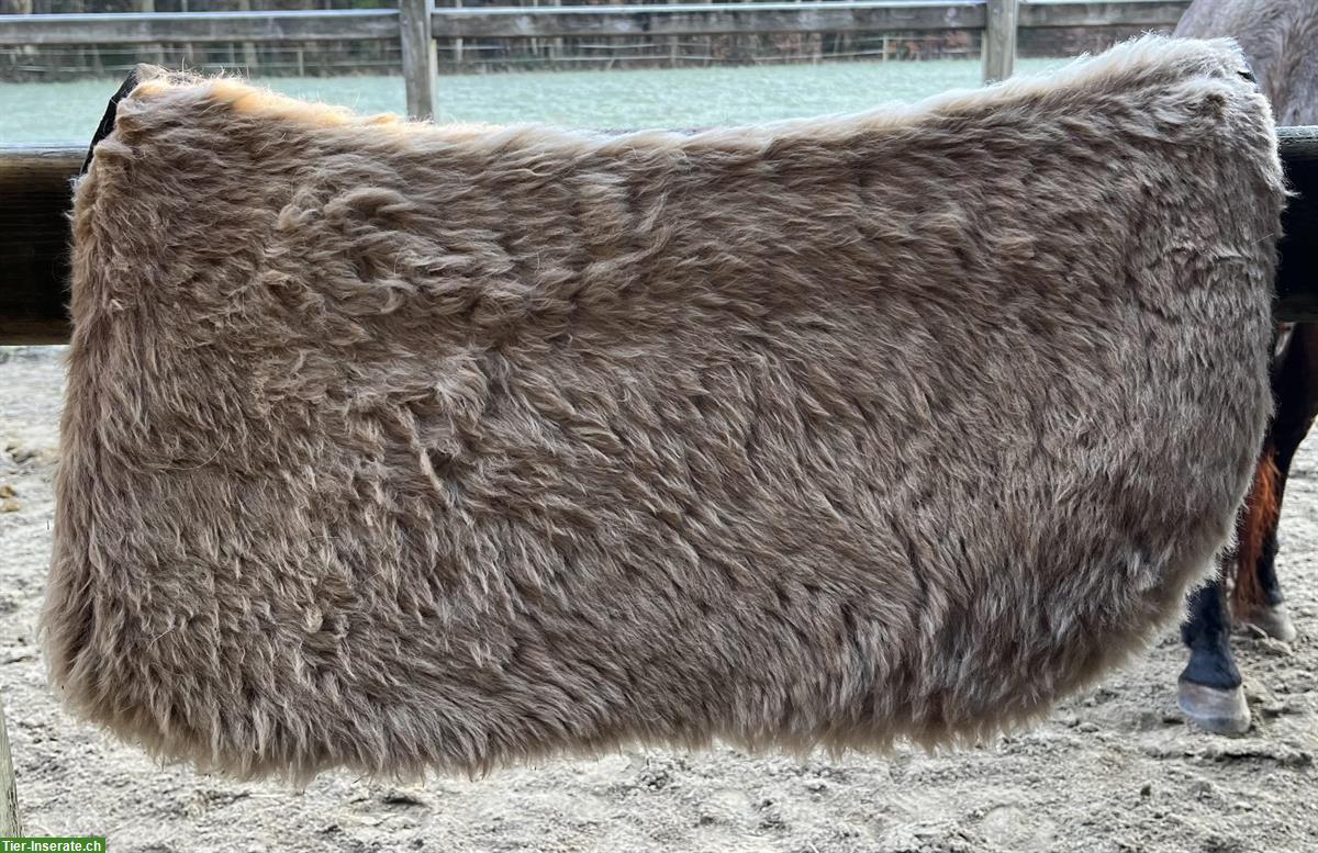Bild 2: Westernpad mit Wollunterseite zu verkaufen