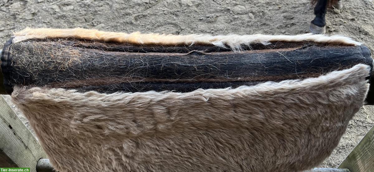 Bild 3: Westernpad mit Wollunterseite zu verkaufen