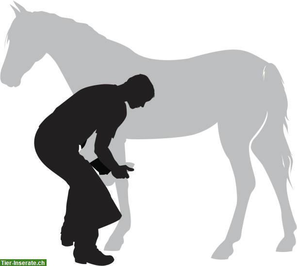 Hilfsarbeiter für Hufschmied gesucht